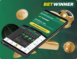 Understanding the Privacy Policy of BetWinner